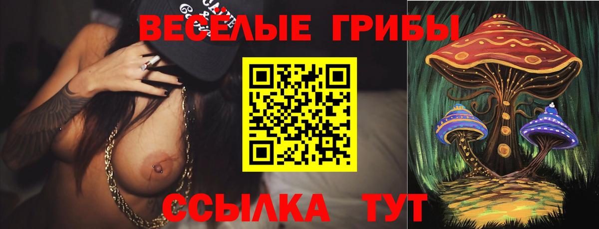Приморско-Ахтарск  Псилоцибиновые грибы MAGIC MUSHROOMS  Вход с VPN  Псилоцибиновые грибы Magic Shrooms 
